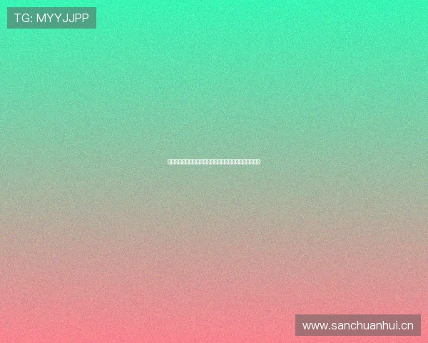 熊猫映射官网入口及功能介绍，带您探索更精准的地图服务